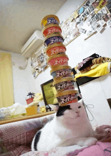 a cat sitting on a bed next to a stack of excel super cups