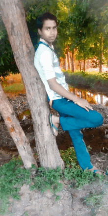 a young boy leans against a tree in the woods