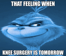 a picture of a grinch with a caption that says that feeling when knee surgery is tomorrow