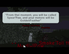 a screenshot of a video game that says " from the moment you will be called spear paw and your metore will be goldenfeather "