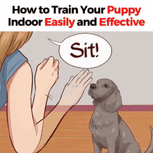 how to train your puppy indoor easily and effectively with a picture of a woman petting a dog