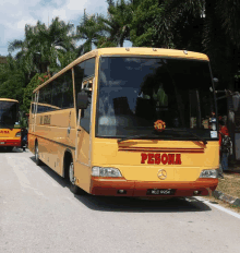 a yellow bus that says pesona on the front of it