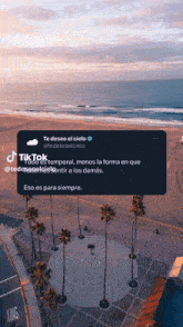 an aerial view of a beach with palm trees and a basketball court in the foreground and a tweet in the background