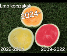 three watermelons are cut in half and the year 2024 is on the top