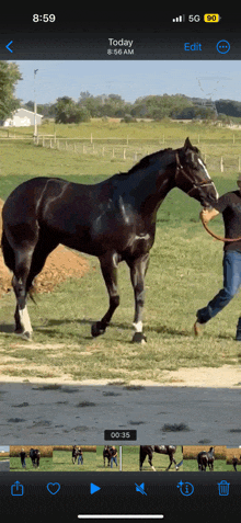 a phone screen shows a picture of a man walking a black horse