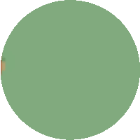 a green circle on a white background with a brown outline