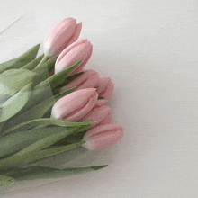 a bunch of pink flowers with green leaves wrapped in plastic