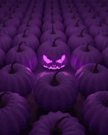 a row of purple pumpkins with a glowing face