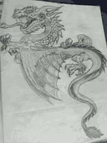 a black and white drawing of a dragon with a very long tail