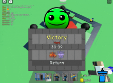 a screenshot of a game that says victory