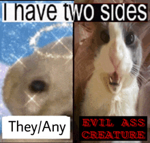 a picture of a cat with the words i have two sides they / any evil ass creature below it