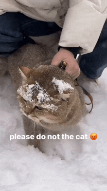 a person is petting a cat in the snow with the words please do not the cat below it