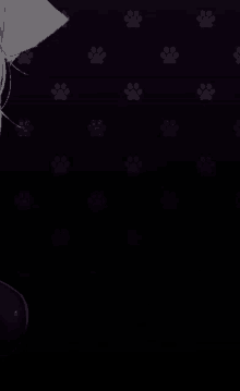 a black background with paw prints on it and a cat on it