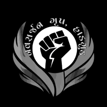 a black and white logo with a fist in a circle and the words " never again "