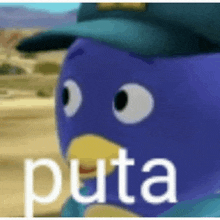 a close up of a purple penguin wearing a hat with the word puta on it .