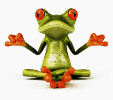 a green frog with red eyes sits in a lotus position with its legs crossed