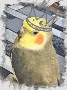 a bird wearing a crown on its head