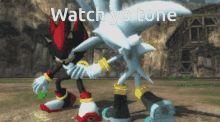 shadow the hedgehog and silver the hedgehog standing next to each other