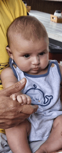 a baby with a whale on his shirt is being held by an older person