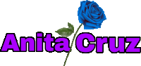 a logo for anita cruz with a blue rose in the middle