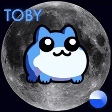 a picture of a blue cat with the word toby on it