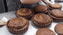 a bunch of chocolate cupcakes are sitting on a table with the words made in aninotica on the bottom right