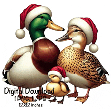 a couple of ducks wearing santa hats and a duckling