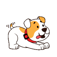 a brown and white dog wearing a red collar is laying down