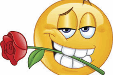 the smiley face is holding a red rose in its mouth .