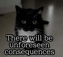 a black and white cat with the words " there will be unforeseen consequences " below it