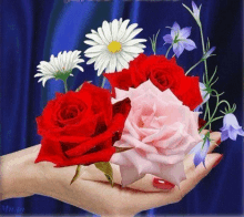 a woman 's hand is holding a bouquet of flowers including red roses and daisies .