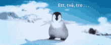 a penguin standing in the snow with the words ett , två , tre ...