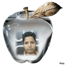 a young boy is standing inside of a glass apple with a gold leaf .