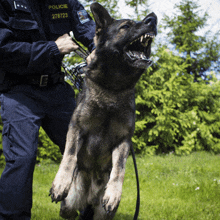 a police officer is holding a german shepherd with the number 278723 on his sleeve