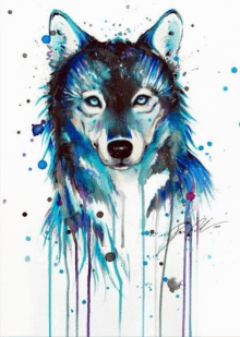 a watercolor painting of a wolf 's face with blue eyes