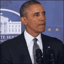 a man in a suit and tie is standing in front of a microphone with a white house in the background