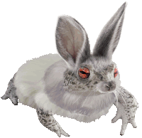 a rabbit with a frog body and red eyes