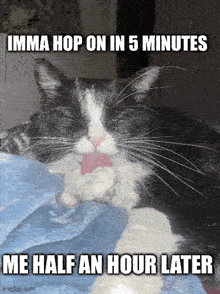 a black and white cat is laying on a bed with a caption that says imma hop on in 5 minutes me half an hour later