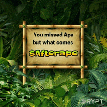 a sign that says you missed ape but what comes afterape