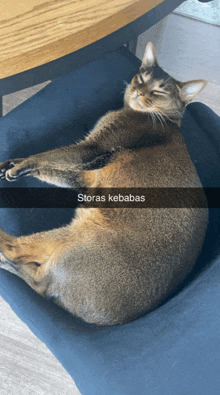 a cat laying on its back with a caption that says storas kebabas