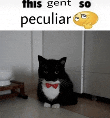 a black and white cat wearing a red bow tie next to a smiley face that says this gent so peculiar