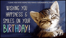 a birthday card with a kitten and the words " wishing you happiness & smiles on your birthday "