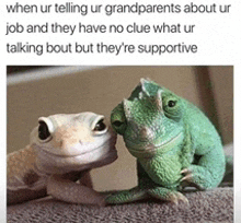 two lizards sitting next to each other with a caption that says when ur telling ur grandparents about ur job