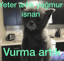 a kitten with food on its face and the words yeter artik yagmur isnan vurma artik written above it