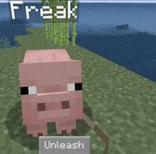 a pig in a minecraft game is named freak and can be unleashed