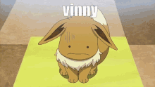 a cartoon eevee is sitting on a yellow mat with the word vinny above it