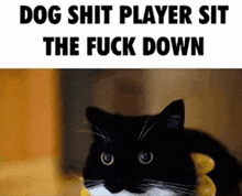 a black and white cat is sitting on a table with the words `` dog shit player sit the fuck down '' written above it .