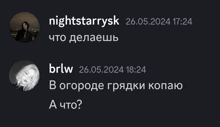 a screenshot of a conversation between nightstarrysk and brlw