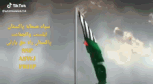 a green and white flag is flying in front of a cloudy sky with tik tok written on the bottom