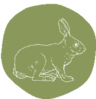 a drawing of a rabbit in a green circle on a white background